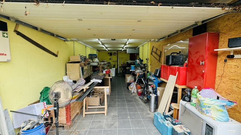 Grosses, neuwertiges 6.5-Zi. EFH, 6 Garagenplätze + 4 Parkplätze, Koi-Teich, Kinozimmer, 3 Nasszellen, traumhafte Lage, nur 10 Min. von Bubendorf (39)