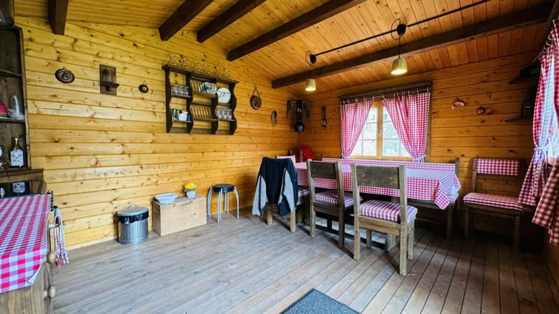 Grosses, neuwertiges 6.5-Zi. EFH, 6 Garagenplätze + 4 Parkplätze, Koi-Teich, Kinozimmer, 3 Nasszellen, traumhafte Lage, nur 10 Min. von Bubendorf (43)