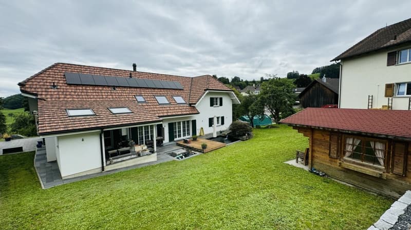 Grosses, neuwertiges 6.5-Zi. EFH, 6 Garagenplätze + 4 Parkplätze, Koi-Teich, Kinozimmer, 3 Nasszellen, traumhafte Lage, nur 10 Min. von Bubendorf (27)