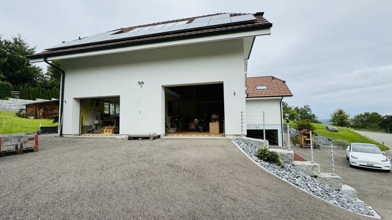 Grosses, neuwertiges 6.5-Zi. EFH, 6 Garagenplätze + 4 Parkplätze, Koi-Teich, Kinozimmer, 3 Nasszellen, traumhafte Lage, nur 10 Min. von Bubendorf (31)