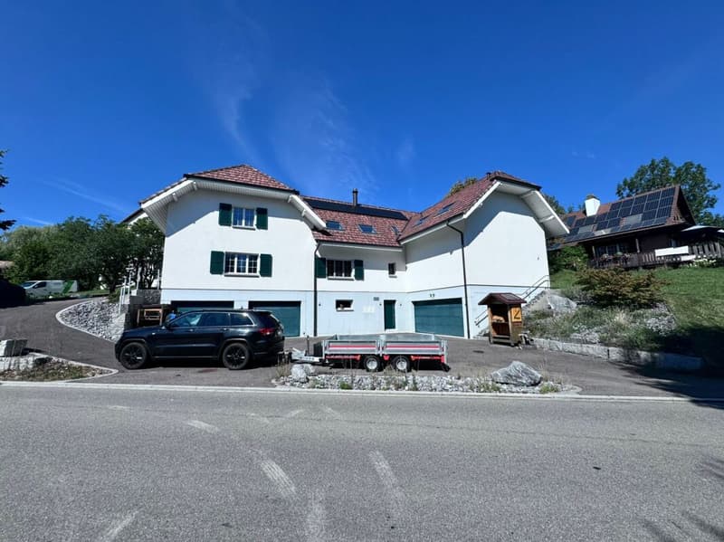 Grosses, neuwertiges 6.5-Zi. EFH, 6 Garagenplätze + 4 Parkplätze, Koi-Teich, Kinozimmer, 3 Nasszellen, traumhafte Lage, nur 10 Min. von Bubendorf (51)