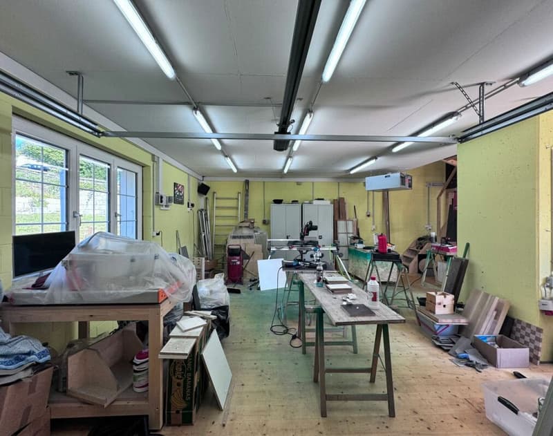 Grosses, neuwertiges 6.5-Zi. EFH, 6 Garagenplätze + 4 Parkplätze, Koi-Teich, Kinozimmer, 3 Nasszellen, traumhafte Lage, nur 10 Min. von Bubendorf (7)