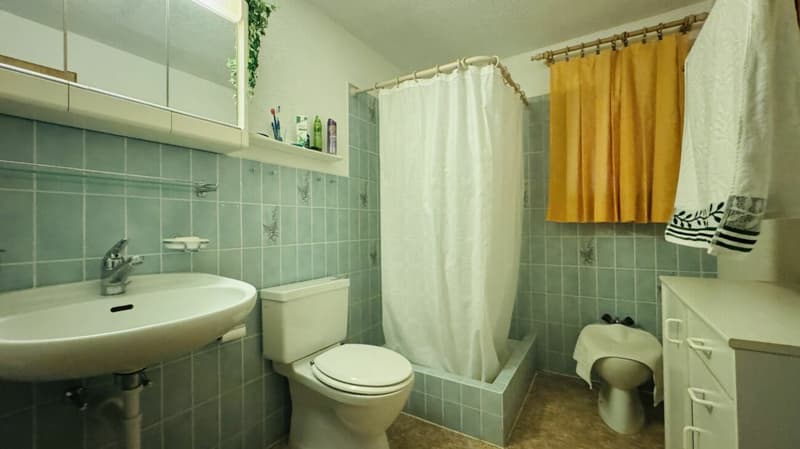 Freistehendes 5-Zimmer-EFH mit Garage, Vorplatz, Balkon, Garten und schöner Aussicht (19)