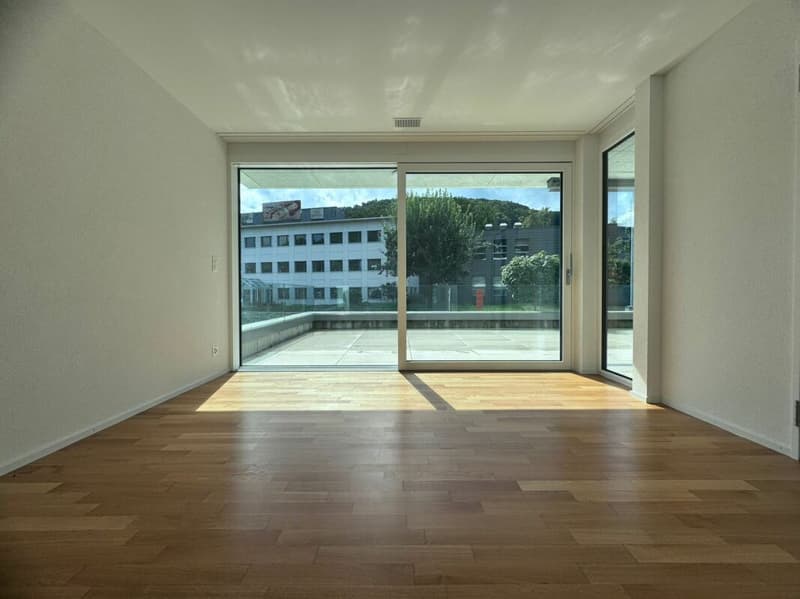 Exklusive moderne 4.5-Zimmer-Wohnung mit grosser Terrasse & Waschturm (10)