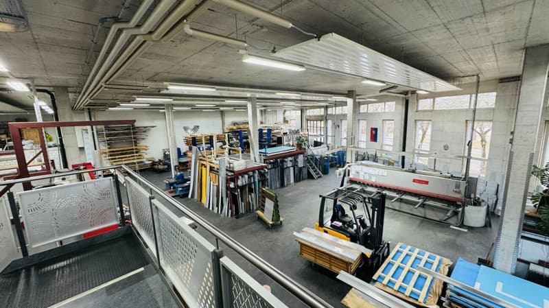 Gewerbehalle mit Ueberhöhe, grosse 5.5-Zimmer-Attikawohnung, Lift und 6 PP (2)