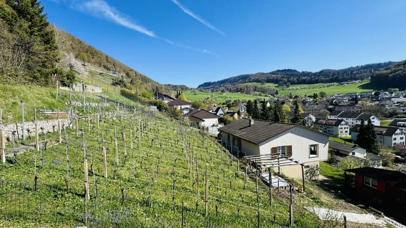 6.5-Zimmer-Architektenhaus mit Pool, Garagenbox, 3 Parkplätzen und Weitsicht (5)