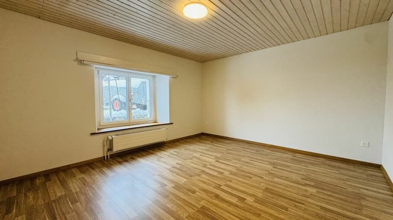 Pflegeleichtes Zweifamilienhaus mit 2 Wohneinheiten, Garage und 4-5 Parkplätzen in Ramlinsburg (7)