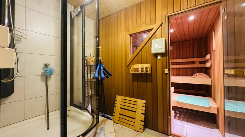 Freistehendes 4.5-Zimmer-Einfamilienhaus mit Pool, Sauna, Wintergarten, Doppelgarage & Aussicht (3)