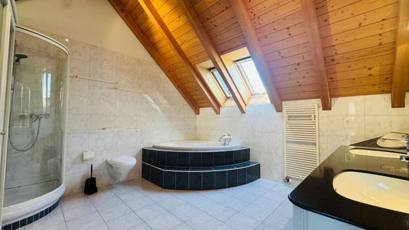 Freistehendes 4.5-Zimmer-Einfamilienhaus mit Pool, Sauna, Wintergarten, Doppelgarage & Aussicht (10)