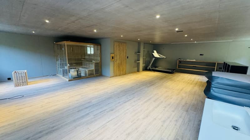Vermietung im exklusiven MFH - Wohnen & Arbeiten kombiniert (18)