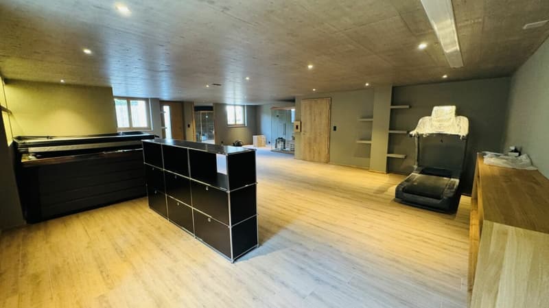 Vermietung im exklusiven MFH - Wohnen & Arbeiten kombiniert (16)