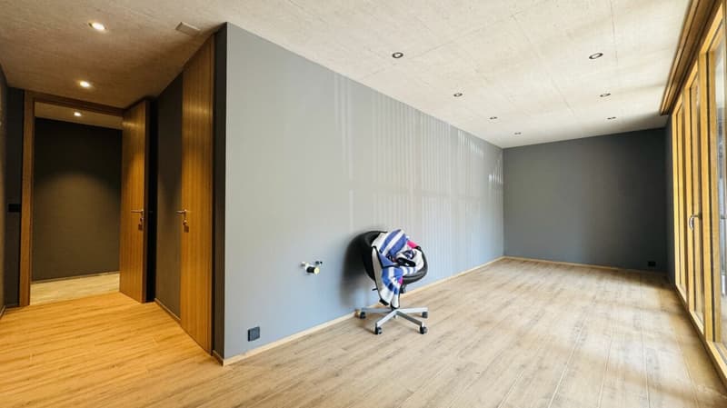 Vermietung im exklusiven MFH - Wohnen & Arbeiten kombiniert (11)