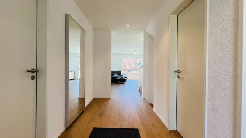 Modernes 5.5-Zimmer-Neubau-Einfamilienhaus mit 2 Bädern, Carport, Parkplatz & Garten in Duggingen (6)