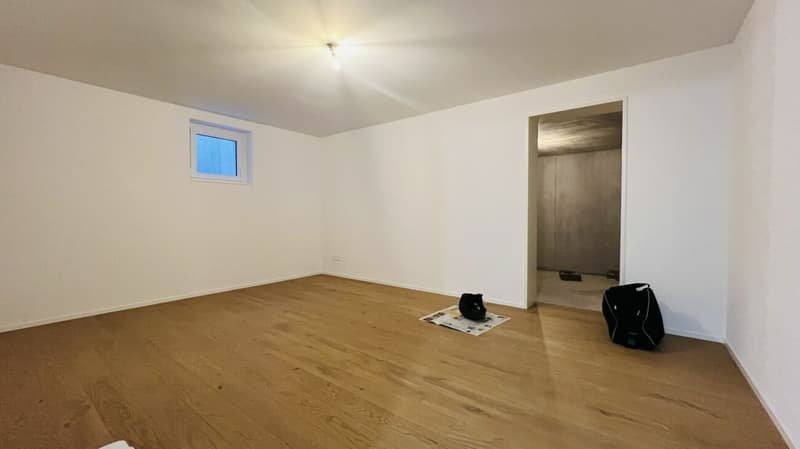 Modernes 5.5-Zimmer-Neubau-Einfamilienhaus mit 2 Bädern, Carport, Parkplatz & Garten in Duggingen (17)