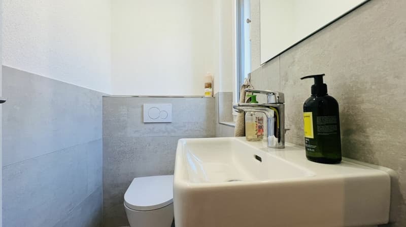 Modernes 5.5-Zimmer-Neubau-Einfamilienhaus mit 2 Bädern, Carport, Parkplatz & Garten in Duggingen (3)