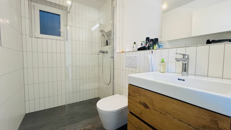 Modernes 5.5-Zimmer-Neubau-Einfamilienhaus mit 2 Bädern, Carport, Parkplatz & Garten in Duggingen (20)