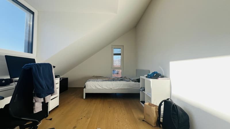 Modernes 5.5-Zimmer-Neubau-Einfamilienhaus mit 2 Bädern, Carport, Parkplatz & Garten in Duggingen (15)