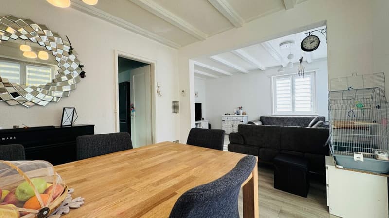 EFH mit bewilligtem Doppelhaus-Projekt - renovieren, ausbauen oder neu bauen (5)