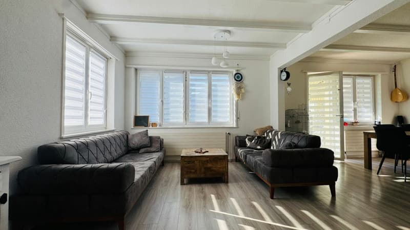 EFH mit bewilligtem Doppelhaus-Projekt - renovieren, ausbauen oder neu bauen (6)