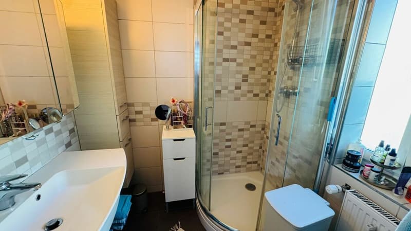 EFH mit bewilligtem Doppelhaus-Projekt - renovieren, ausbauen oder neu bauen (8)