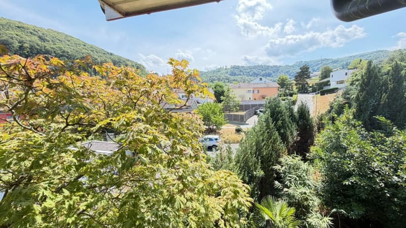 Grosszügiges Doppeleinfamilienhaus mit Garten, Garagenbox und Ausbaupotenzial (14)