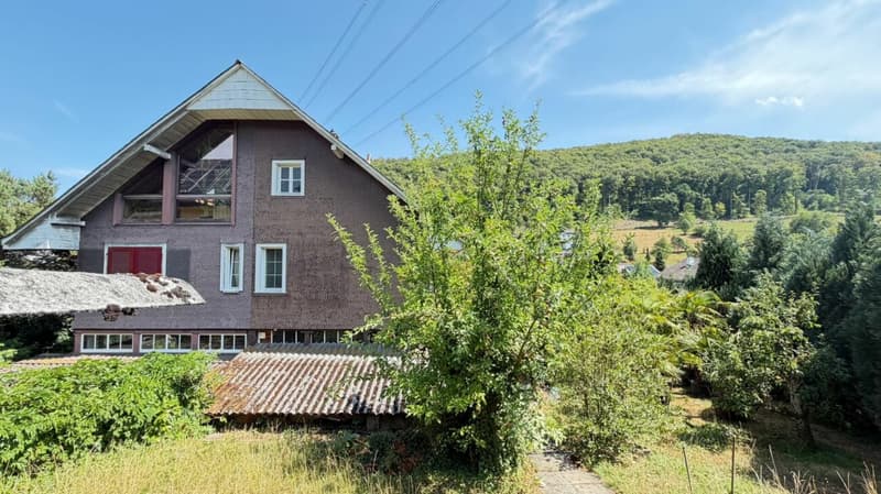 Grosszügiges Doppeleinfamilienhaus mit Garten, Garagenbox und Ausbaupotenzial (15)