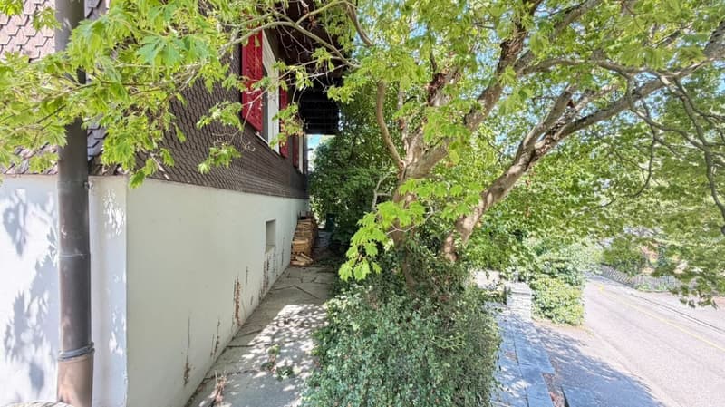Grosszügiges Doppeleinfamilienhaus mit Garten, Garagenbox und Ausbaupotenzial (17)
