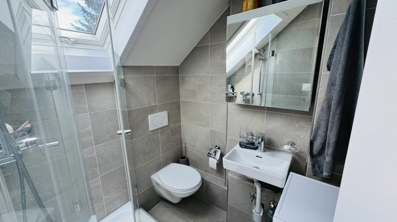 Neuwertige 3-Zimmerwohnung im 4. OG ohne Lift und ohne Balkon - mit eigener WM/TU (5)