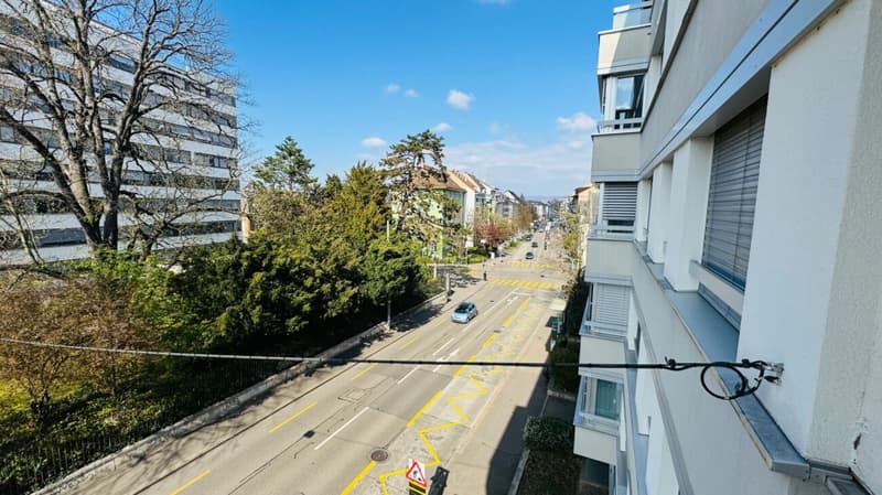 Komplett sanierte 4.5-Zimmerwohnung mit 2 Bädern, 2 Balkonen und 1 Tiefgaragenplatz (3)