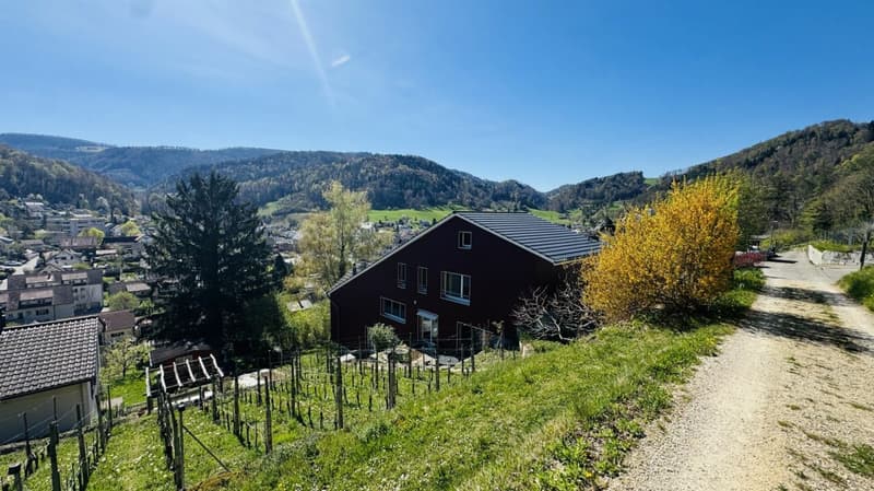 6.5-Zimmer-Architektenhaus mit Pool, Garagenbox, 3 Parkplätzen und Weitsicht (11)