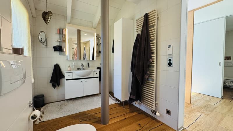 6.5-Zimmer-Architektenhaus mit Pool, Garagenbox, 3 Parkplätzen und Weitsicht (15)