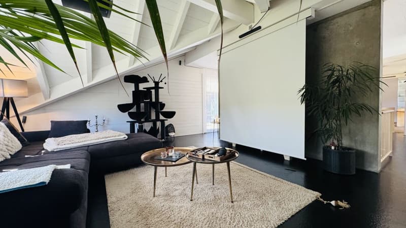 6.5-Zimmer-Architektenhaus mit Pool, Garagenbox, 3 Parkplätzen und Weitsicht (21)