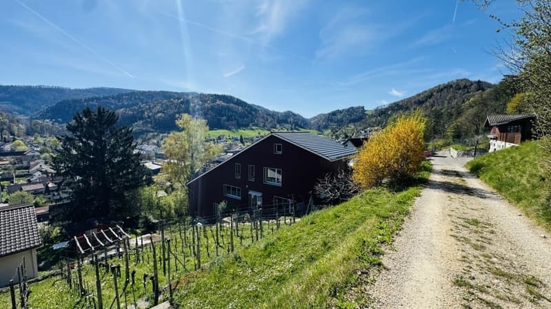 6.5-Zimmer-Architektenhaus mit Pool, Garagenbox, 3 Parkplätzen und Weitsicht (3)