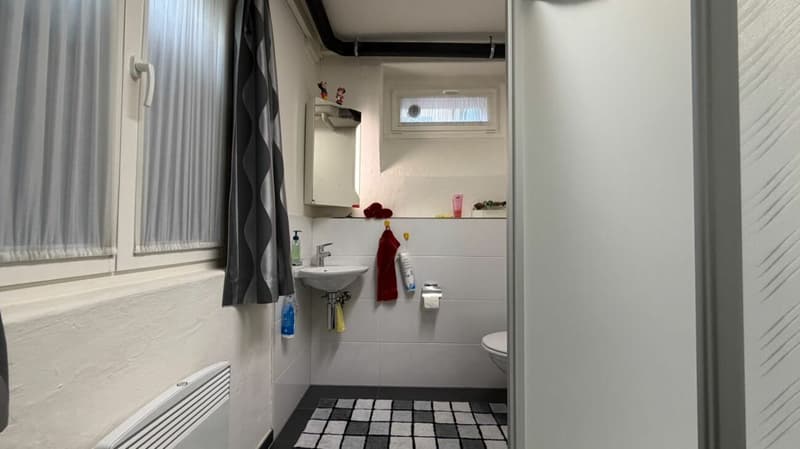 Generationenhaus mit 6.5-Zimmer-Maisonette und vermieteter 3-Zimmerwohnung (13)