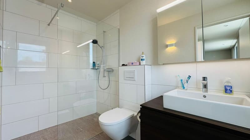 Neuwertige 5.5-Zimmer-Attikawohnung mit grosser Terrasse, 2 Nasszellen und 3 AEHP (10)