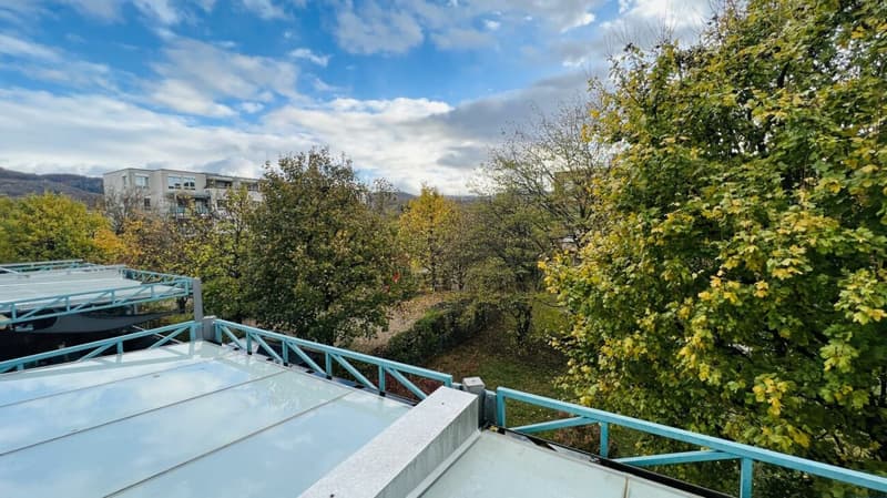 Attraktive 2-Zimmerwohnung mit Lift, Tiefgaragenplätzen und mehr in Aesch - Ideal für Investoren und Singles (10)
