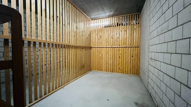 Attraktive 2-Zimmerwohnung mit Lift, Tiefgaragenplätzen und mehr in Aesch - Ideal für Investoren und Singles (12)