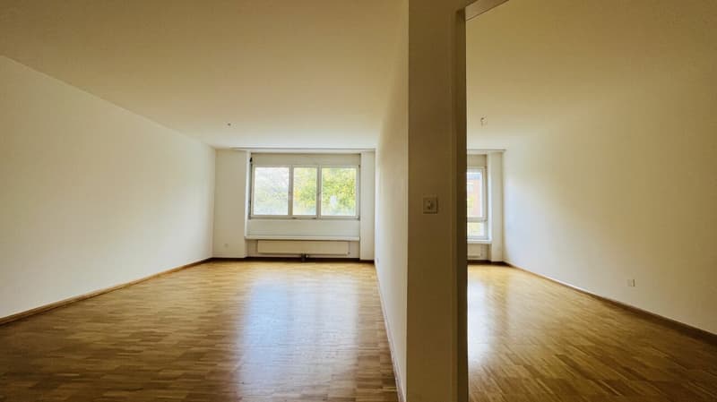 Attraktive 2-Zimmerwohnung mit Lift, Tiefgaragenplätzen und mehr in Aesch - Ideal für Investoren und Singles (6)