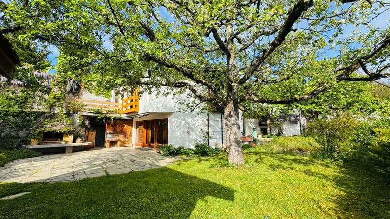 Grosszügiges EFH mit 2 Einliegerwohnungen, Parkplätzen, Weitsicht & Garten in Toplage (6)