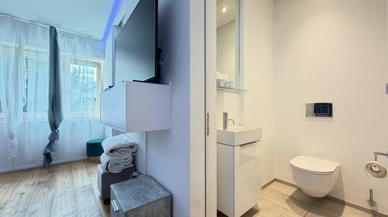 Grosszügiges 7.5-Zimmer-Einfamilienhaus mit Einliegerwohnung und traumhafter Aussicht (9)