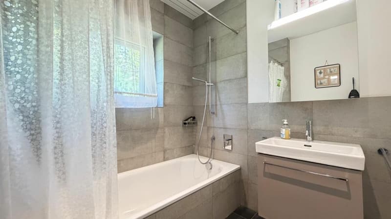 Grosszügiges 7.5-Zimmer-Einfamilienhaus mit Einliegerwohnung und traumhafter Aussicht (12)