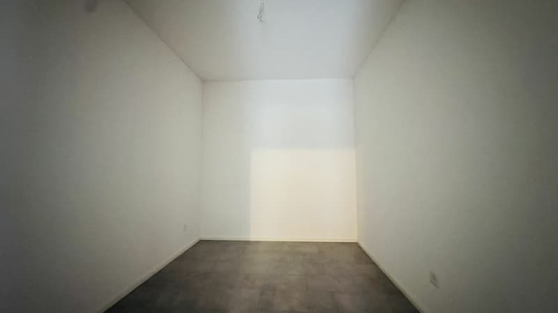 SELTENE GELEGENHEIT: 3-FAMILIENHAUS MIT WERKSTATT, SCHOPF & 16 PARKPLÄTZEN (19)