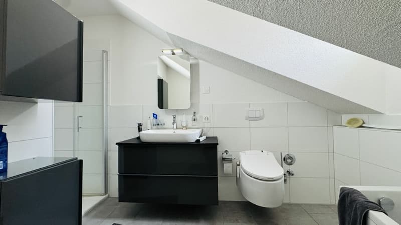 SELTENE GELEGENHEIT: 3-FAMILIENHAUS MIT WERKSTATT, SCHOPF & 16 PARKPLÄTZEN (11)