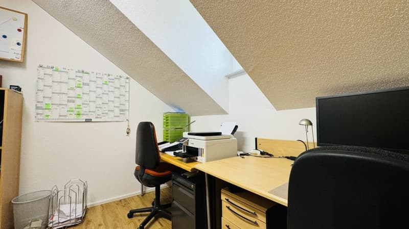 SELTENE GELEGENHEIT: 3-FAMILIENHAUS MIT WERKSTATT, SCHOPF & 16 PARKPLÄTZEN (10)