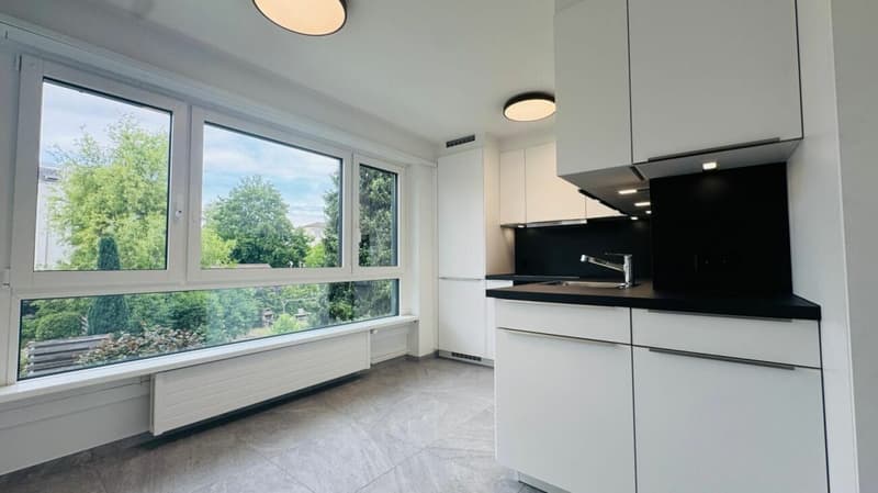 Totalsanierte 2.5-Zimmer-Wohnung mit Hobbyraum, Balkon, Estrich, Keller und Tiefgaragenplatz (2)