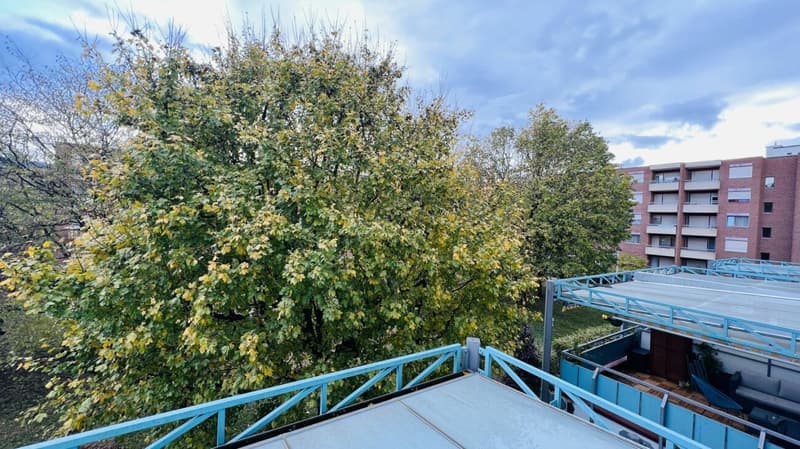 Attraktive 2-Zimmerwohnung mit Lift, Tiefgaragenplätzen und mehr in Aesch - Ideal für Investoren und Singles (10)