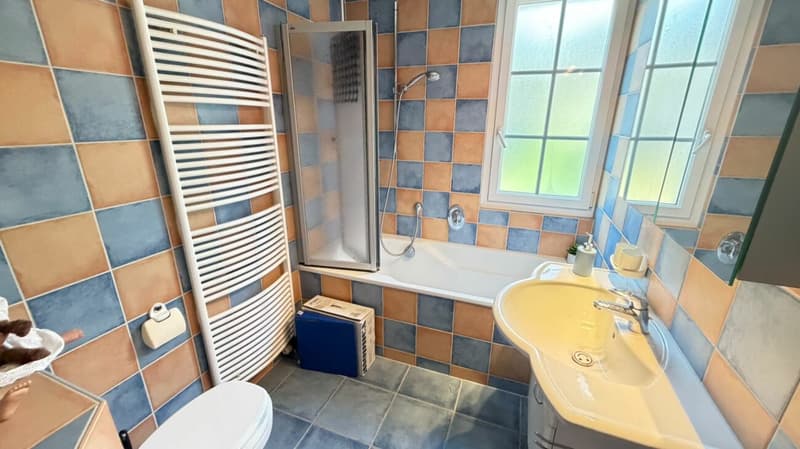 Grosszügiges Doppeleinfamilienhaus mit Garten, Garagenbox und Ausbaupotenzial (8)