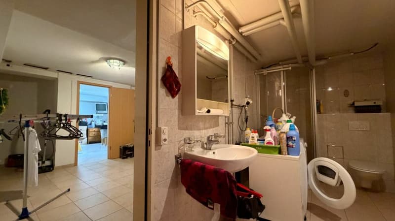 HIER BEGINNT IHR NEUES ZUHAUSE - 5½ ZIMMER, SONNIGER GARTEN & VIEL PLATZ IN AESCH (17)