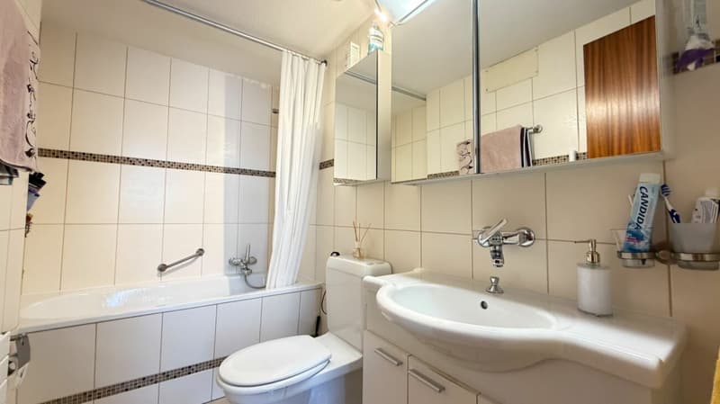 4.5-Zimmer, Terrasse, 2 Nasszellen, Garagenbox, Sauna, Fitness & Partyraum (6)