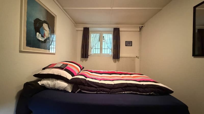 2 WOHNUNGEN + GARTEN + GÄSTEZIMMER + GARAGE/PARKPLÄTZE + MIETEINNAHMEN - SELTENE CHANCE (18)